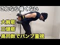 大胸筋と三頭筋トレーニング【ホームジム筋トレ】これから痛くない三頭種目