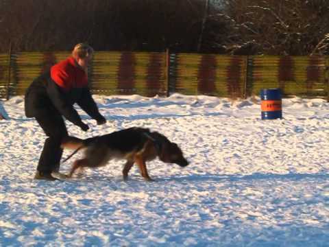 Oxana aus Wattenscheid(Etoo),2014.01.18.,1