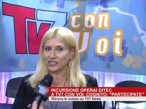 Elena Cognito, a proposito dell'incursione degli operai Ditec durante Tv7 con Voi sera del 15/10/13