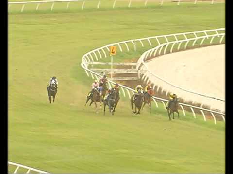 14 FEBRUARY 2017  Trial 1