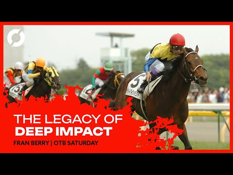 FRAN BERRY: ‘I told people they need these stallions…took them 10 years to cop on.’