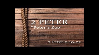 2 Peter 2:10-22 - Peter's Zoo