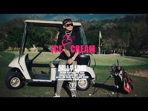 Gally LVDG - Ice Cream