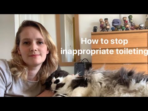 How to stop your cat toileting inappropriately