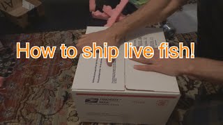 How to ship live fish! Step by step. Easy.