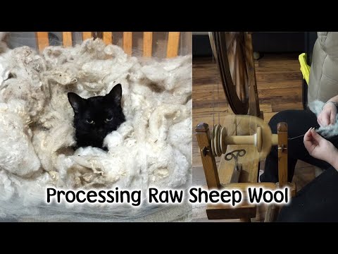Processing Our Raw Sheep Wool into Yarn