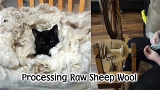 Processing Our Raw Sheep Wool into Yarn
