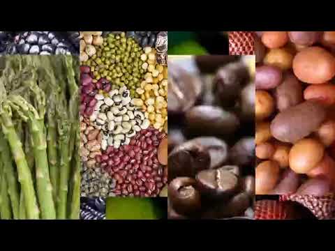 TV Perú (Peru) - September 2022 ID (Peruvian fruits and vegetables variant)