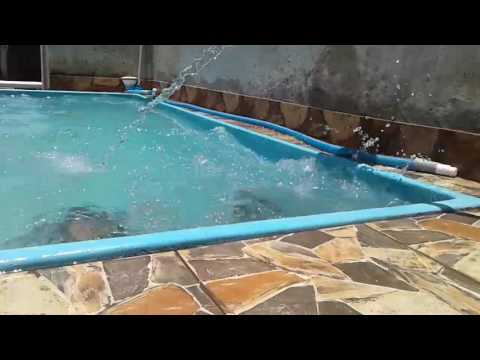 Manu e a prima brincando na piscina.