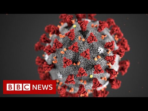 Coronavirus v Influenza: How do the two viruses compare? - BBC News