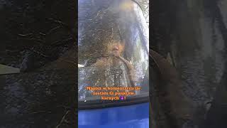 MO goni nas z blondynami 🤪😰!!! #PRL #nostalgia #kiedystobylo #kiedys #lata70 #lata80 #polska