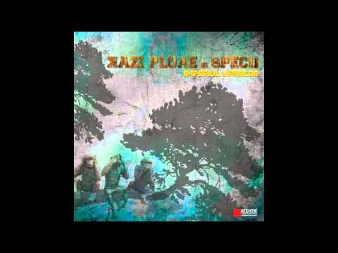 Kazi Ploae si Specii - Nocturna digitala