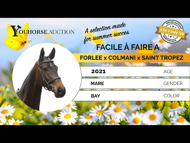 Facile à Faire A