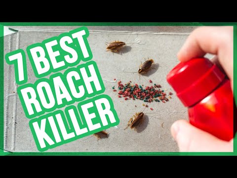 Best Roach Killers in 2020 (Top 7 Roach Bait) 💦 👍🏻 💡