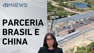 Miniatura do vídeo