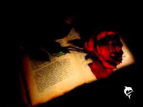 Olvidame - Daniela Nicol