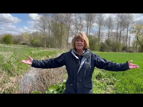 Isla St Clair - How to deal with anxiety #mentalhealthawareness