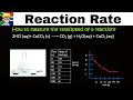 Reaction Rate Grade 12