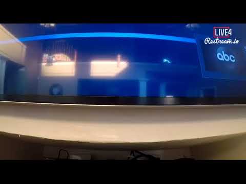 Kelly Shultz Live Stream