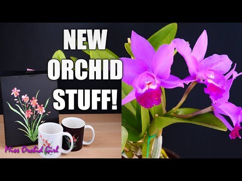 Curious things Orchids do #3 - Weird unknown Orchid + New collectables