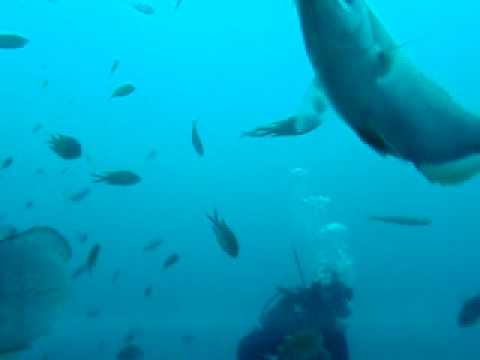 Hafenmole Morro Jable - Fuerteventura, Fuerteventura,Spanien