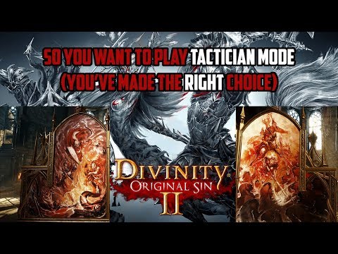Original Sin 2: Tactician Mode Guide