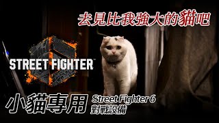 [閒聊] Street Fighter 6 貓貓專用對戰設備