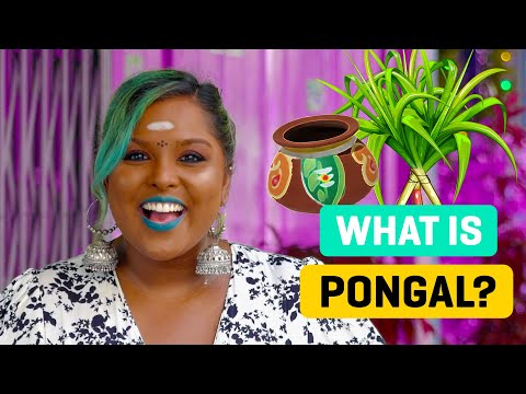 What Is Pongal?