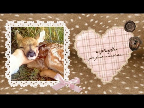 a playlist for fawns and deers.