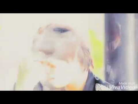 Yujin thao hlub tos lwm tiam