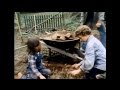 Classic Sesame Street Come Into The Garden