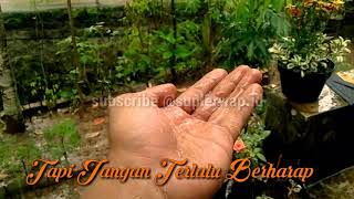 Download lagu status wa jangan berharap lebih #01 mp3