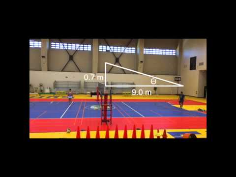 Two Dimensional Kinematics: Volleyball Serve