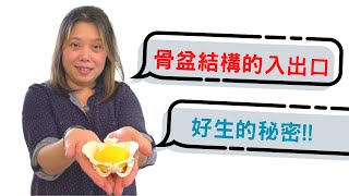 [生產] 助產相關資訊Youtuber分享