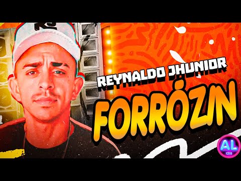 CD FORRÓZIN AGOSTO 2024 - AS MAIS TOCAS 2024 - MÚSICAS TIK TOK 2K24 - PRA PAREDÃO - REYNALDO JHUNIOR