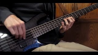 Infectious Grooves - Violent &amp; Funky (Bass cover)