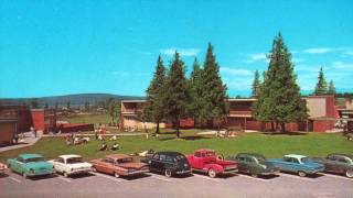 TELL ME HOW - THE CRICKETS - BRUNSWICK 55053 - 1958