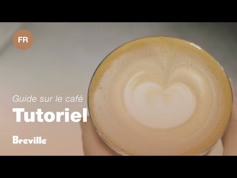 miniature vidéo