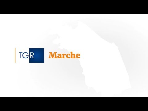 TGR MARCHE H.19:35 - OPEN DATA INAIL MARZO 2023, DATI NELLE MARCHE (30-04-2023)