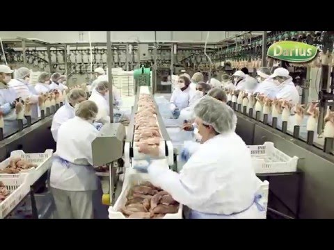 Darius Meat Products Presentation (Ru)