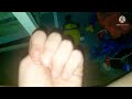 Fishtronaut Exe Chapter 2 Trailer