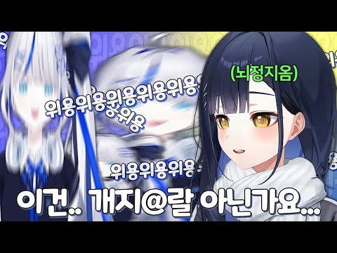 Stella Live Official 'Abnormal' Kumorin ㅋㅋㅋㅋㅋ (Collection of member reactions, including the pres...