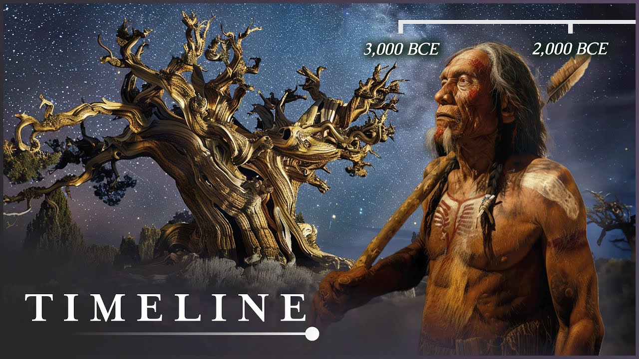 The Curse of the Methuselah Tree
