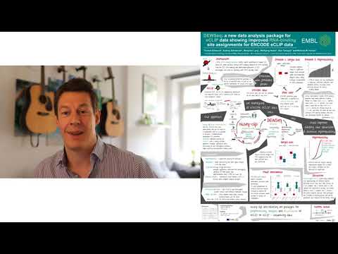CSHL Translational Control - DEWSeq: a new data analysis package for eCLIP data