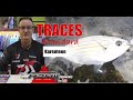 Standard Karenteen Trace ASFN Fishing