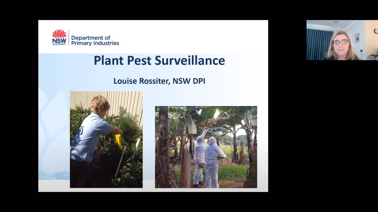 Botanic gardens biosecurity webinar 2 - Surveillance 101