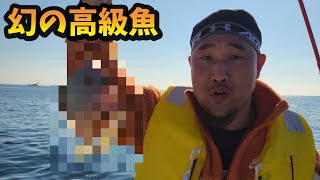 幻の高級魚を釣った！