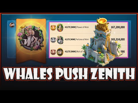 Super whale #MiMi races to the zenith of more than 300 million strength for 2 accounts.