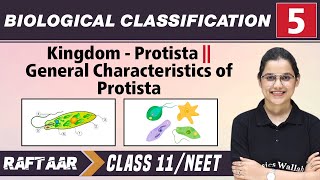 Biological Classification 05 | Kingdom - Protista l Characteristics of Protista l Class 11/NEET