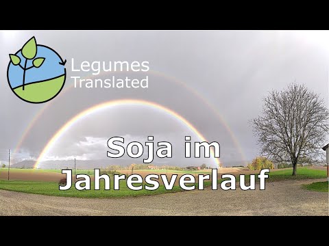 Soja im Jahresverlauf